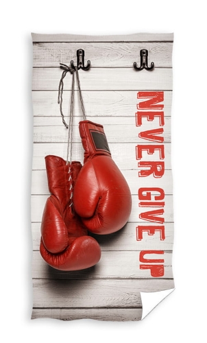 Never GiveUp.jpg