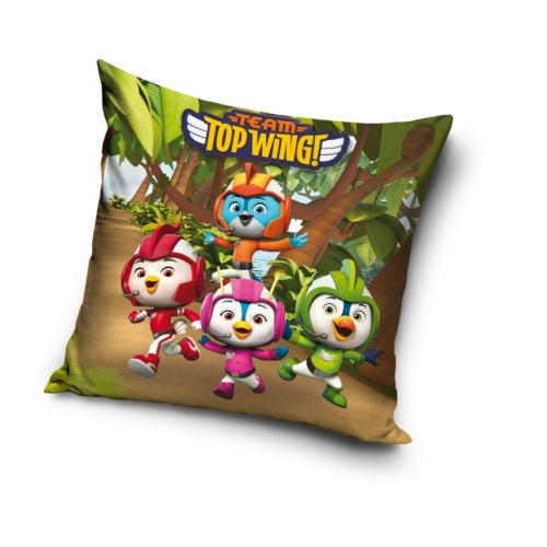 tw191020 pillow sim.jpg