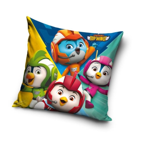 tw191021 pillow sim.jpg