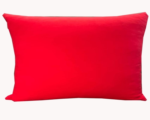 50x60CZERWONA.jpg