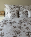 ANMAR-CL-8-2.jpeg