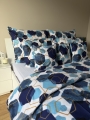 FL-ANMAR-1-13.jpeg