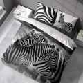 anmarposciel-holland-zebra.jpg