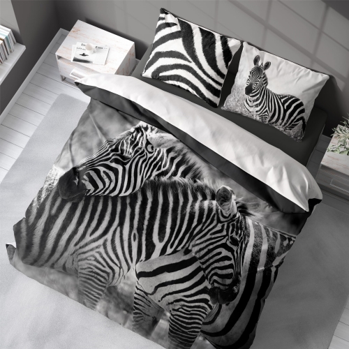 anmarposciel-holland-zebra.jpg